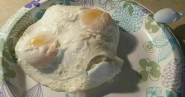 Terrible Dishes (55 pics)