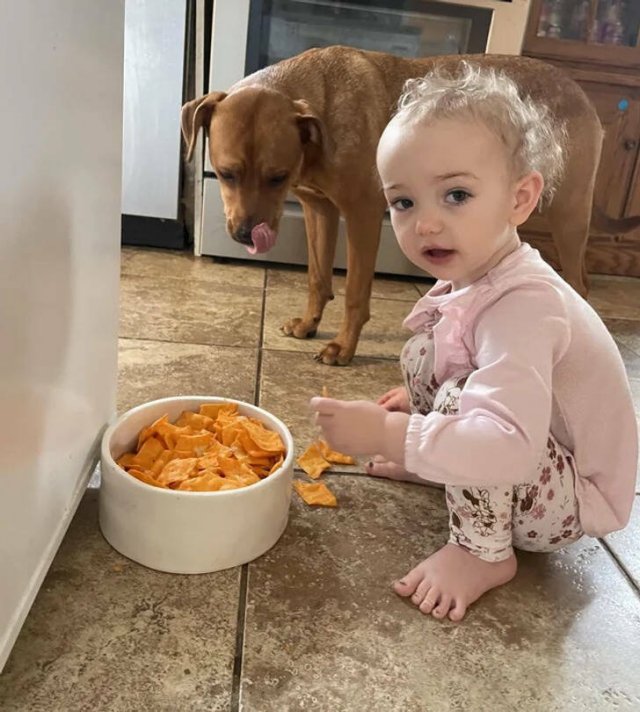 A Little Bit About Life With Kids (33 pics) A Little Bit About Life With Kids (33 pics)