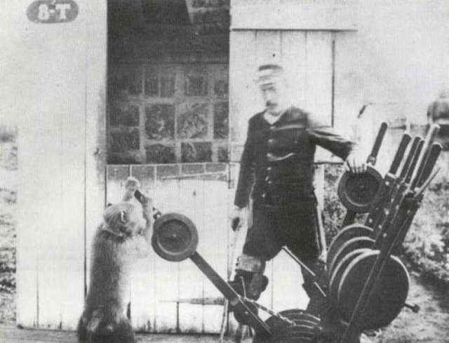 Fascinating Photos And Discoveries (33 pics)