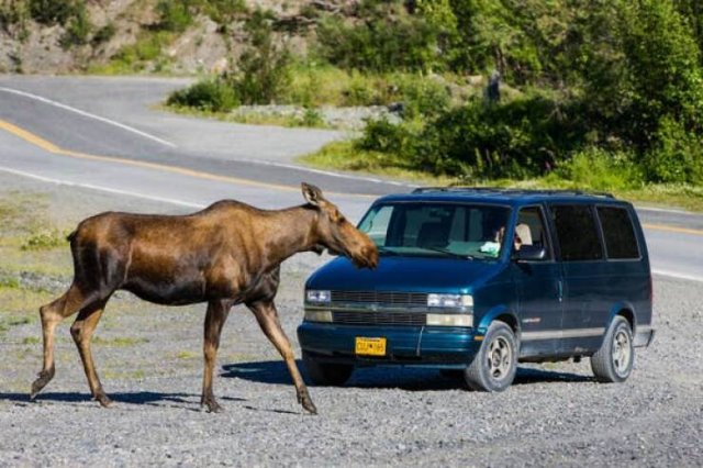 Fascinating Photos And Discoveries (33 pics)