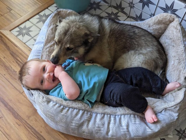 Life Is Beautiful (17 pics)