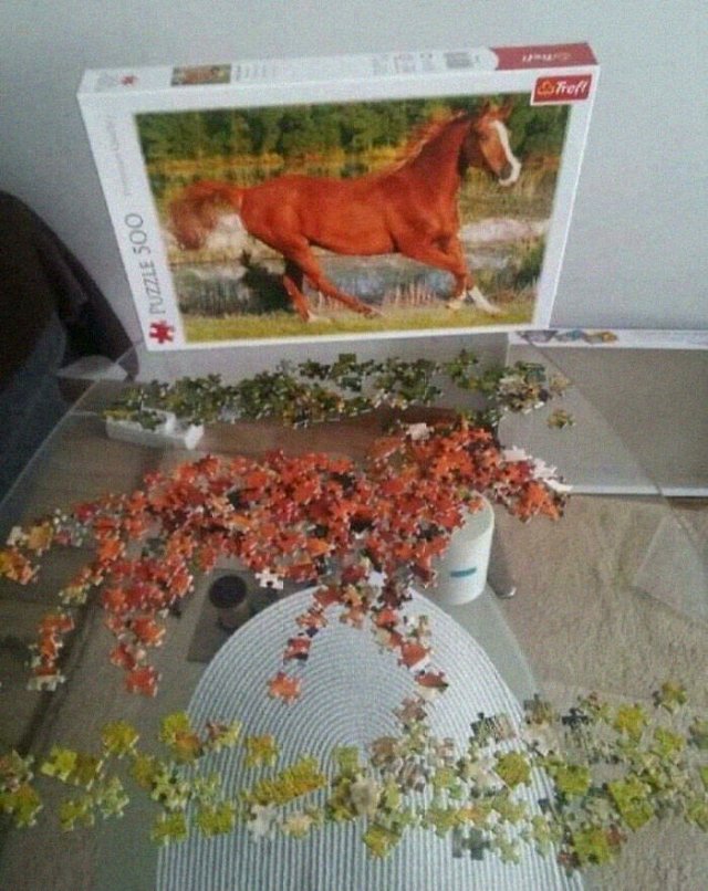 Creative People (27 pics)