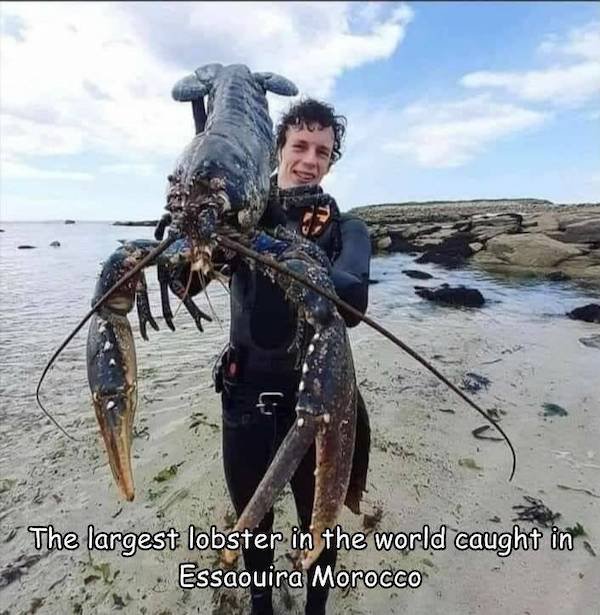 Giant Things (39 pics)