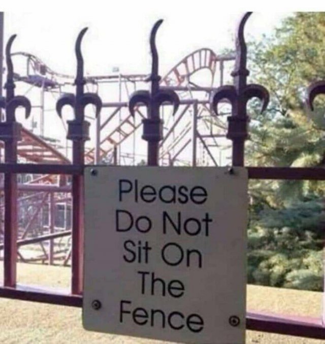 Funny Signs (49 pics)