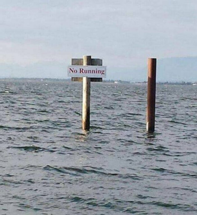 Funny Signs (49 pics)