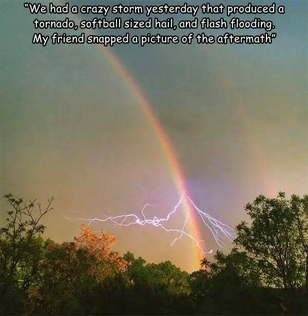 Right Moment (29 pics)