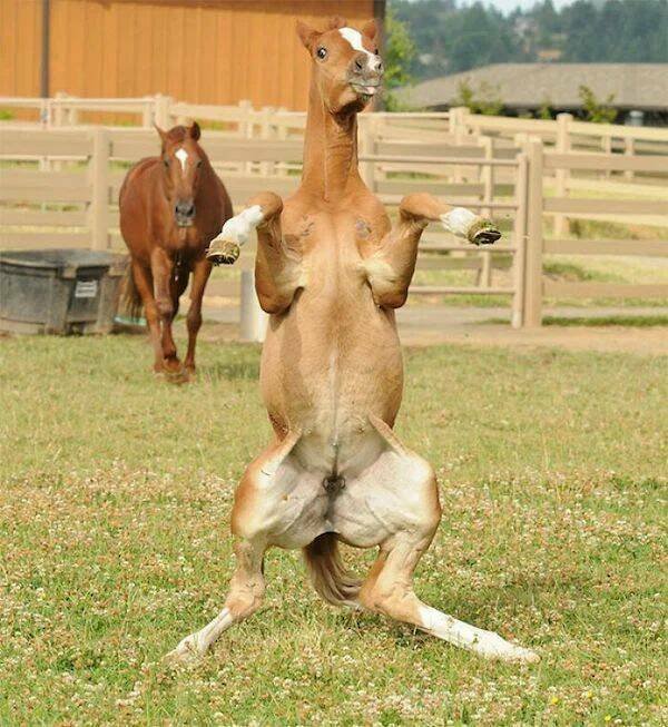 Right Moment (29 pics)
