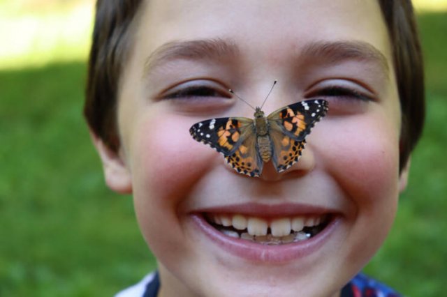 Life Is Beautiful (20 pics) Life Is Beautiful (20 pics)