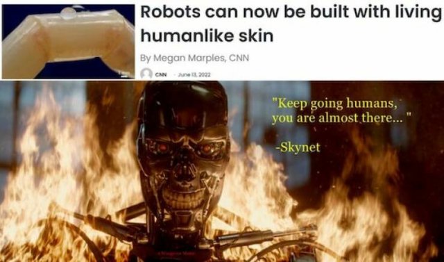 ''Terminator'' Memes (44 pics)