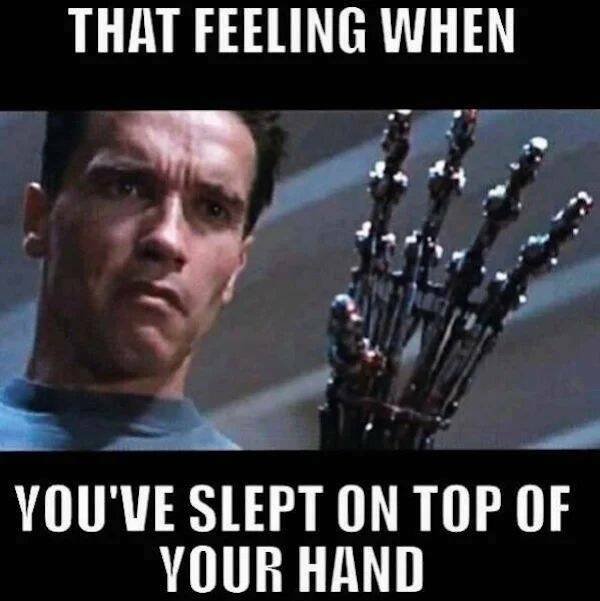 ''Terminator'' Memes (44 pics)