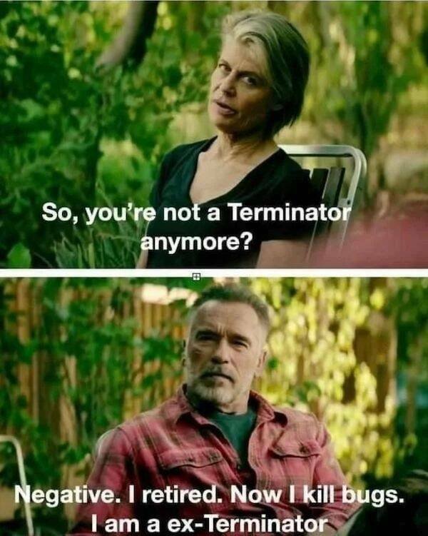 ''Terminator'' Memes (44 pics)