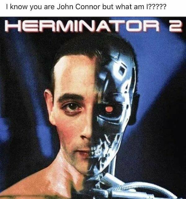 ''Terminator'' Memes (44 pics)