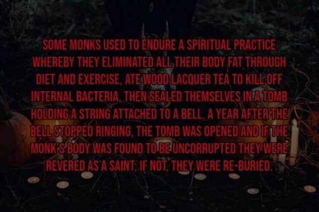 Scary Facts (15 pics)