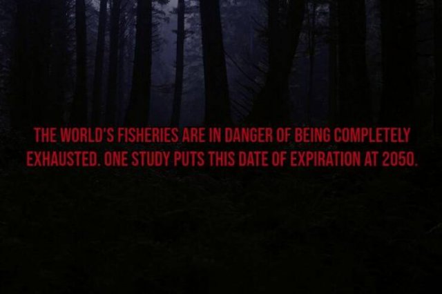 Scary Facts (15 pics)