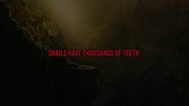 Scary Facts (15 pics)