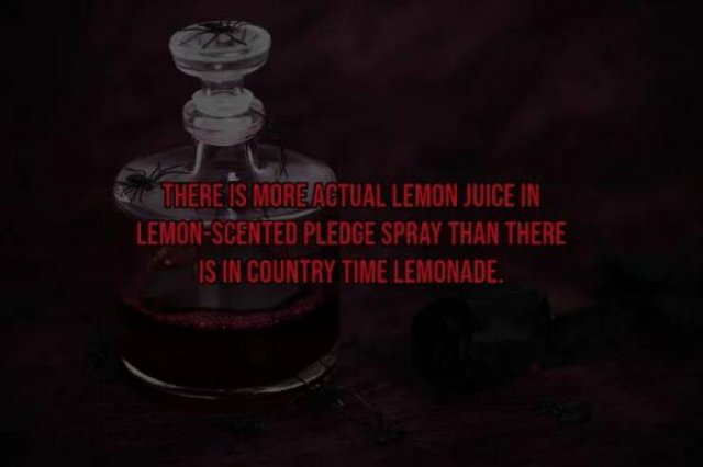 Scary Facts (15 pics)