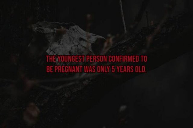 Scary Facts (15 pics)