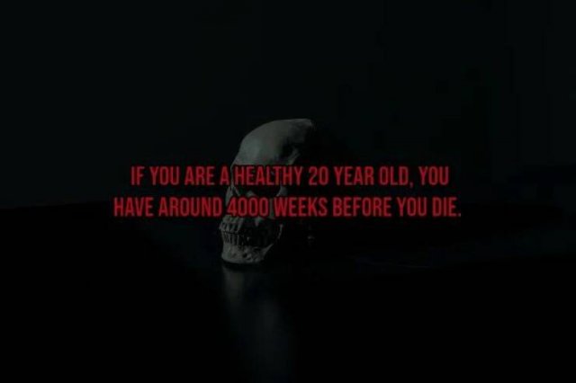 Scary Facts (15 pics)