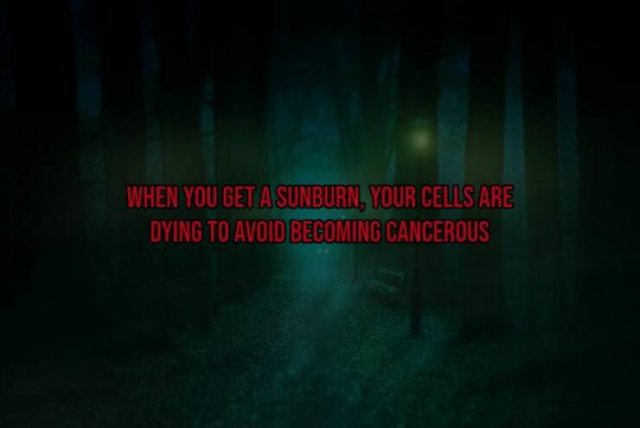 Scary Facts (15 pics)
