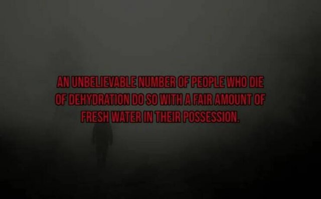 Scary Facts (15 pics)