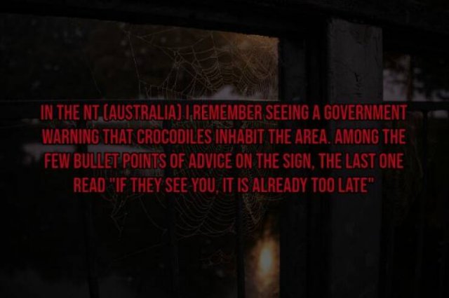 Scary Facts (15 pics)