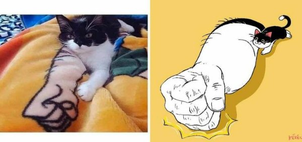 Funny Cats (29 pics)