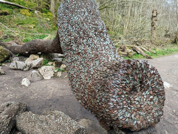 Interesting Finds (16 pics) Interesting Finds (16 pics)