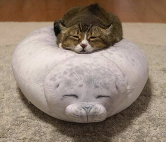 Life Is Beautiful (27 pics)