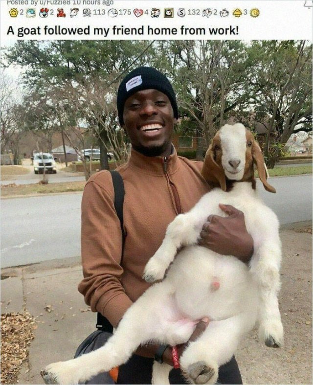 Life Is Beautiful (27 pics)