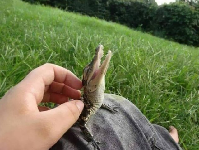 Life Is Beautiful (27 pics)