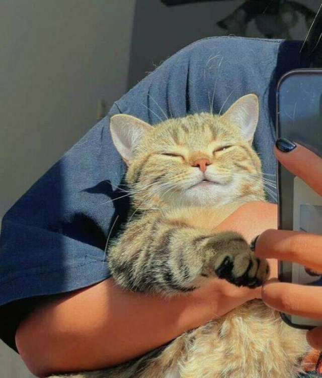 Life Is Beautiful (27 pics)
