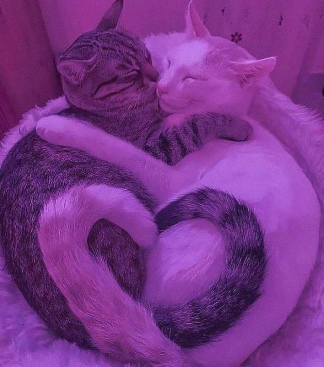 Life Is Beautiful (27 pics)