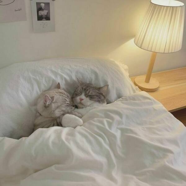 Life Is Beautiful (27 pics)