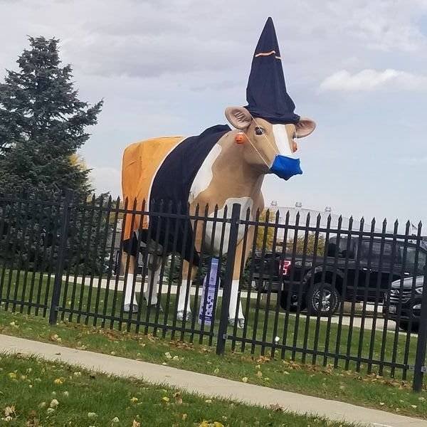 What Is Going On Here? (57 pics)