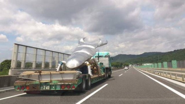 What Is Going On Here? (57 pics)