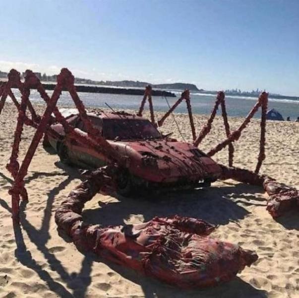 What Is Going On Here? (57 pics)