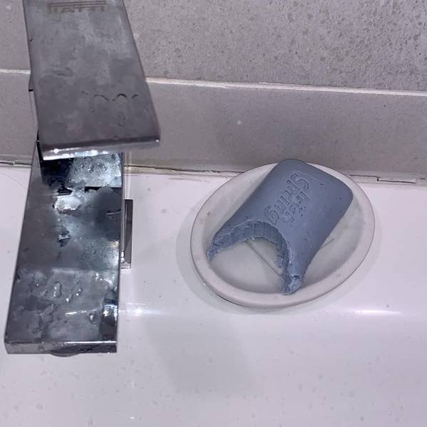 What Is Going On Here? (57 pics)