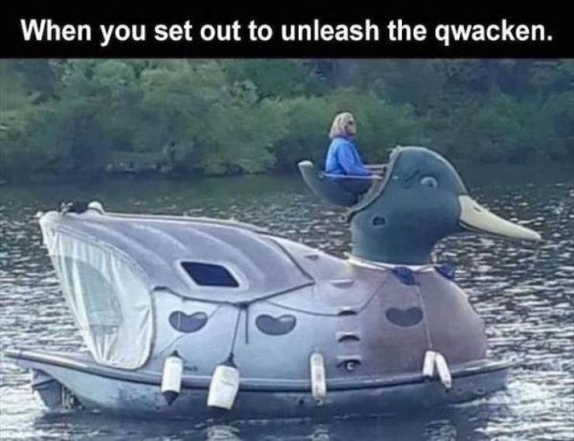 What Is Going On Here? (57 pics)