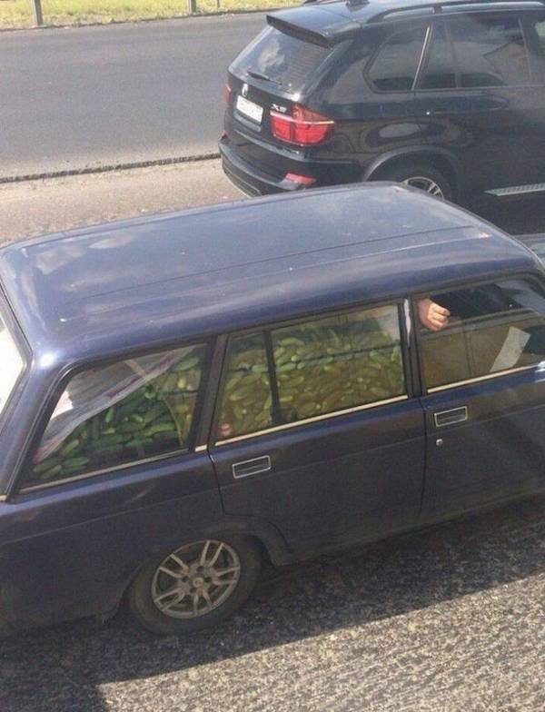 What Is Going On Here? (57 pics)