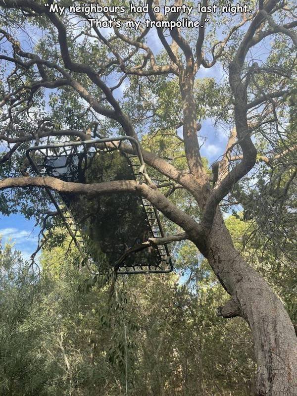 What Is Going On Here? (57 pics)