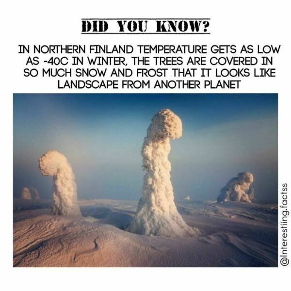 Random Facts (48 pics)