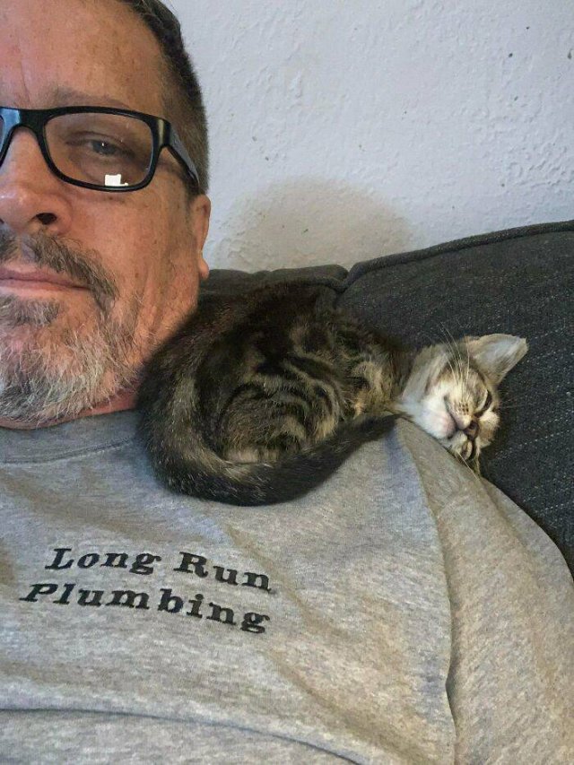 Very Small Kittens (50 pics) Very Small Kittens (50 pics)