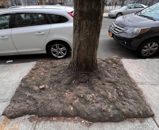 Unusual Finds And Discoveries (30 pics) Unusual Finds And Discoveries (30 pics)