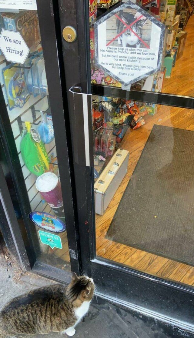 Sarcastic And Scary Finds (45 pics)