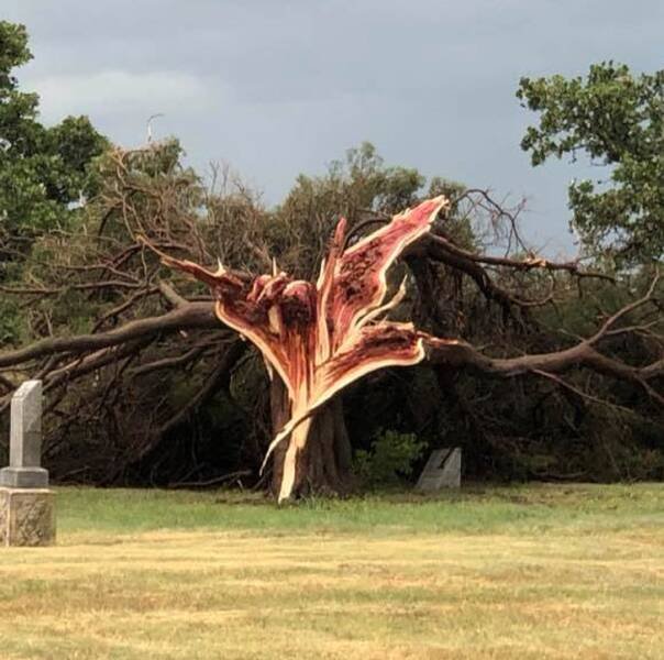 Unusual Finds And Discoveries (30 pics) Unusual Finds And Discoveries (30 pics)