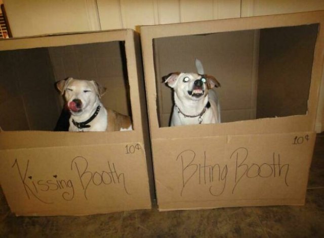Sarcastic And Scary Finds (45 pics)