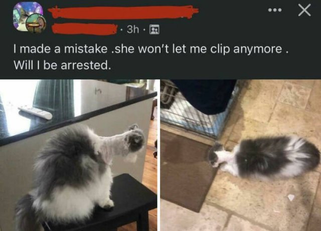 Sarcastic And Scary Finds (45 pics)