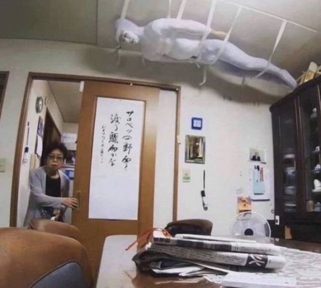What Is Going On Here? (48 pics)