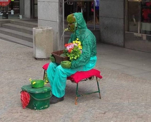 What Is Going On Here? (48 pics)