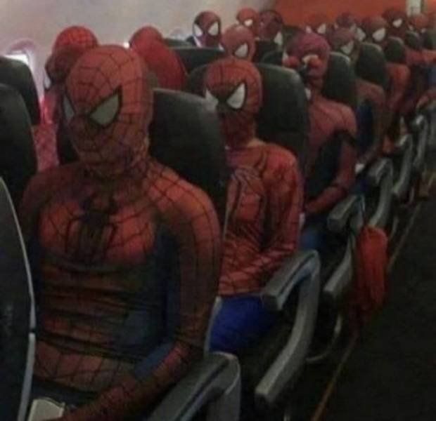 What Is Going On Here? (48 pics)